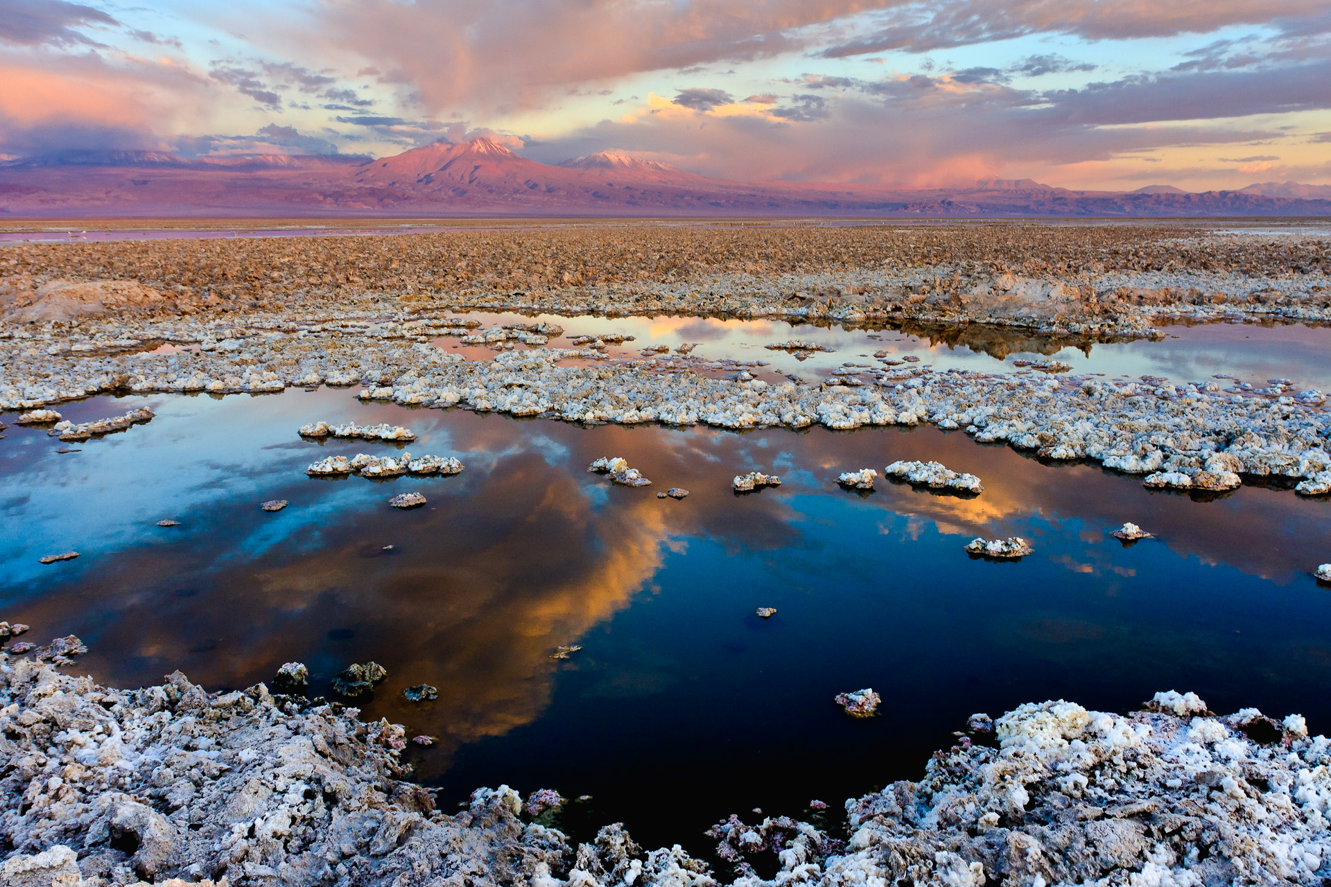 Salar de Atacama in der Atacama-Wüste im Norden Chiles (Foto: Francesco Mocellin, Salar de Atacama, CC BY-SA 3.0)